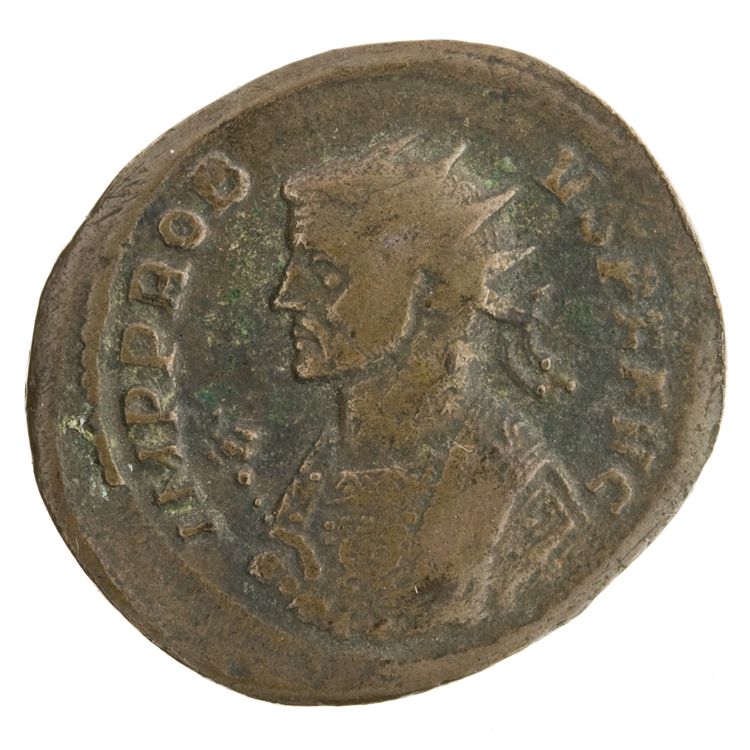 RIC V Probus 200, аверс, American Numismatic Society (ans)