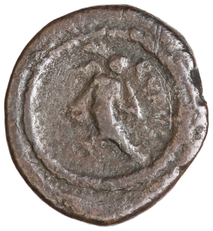 RRC 463/5b, реверс, American Numismatic Society (ans)