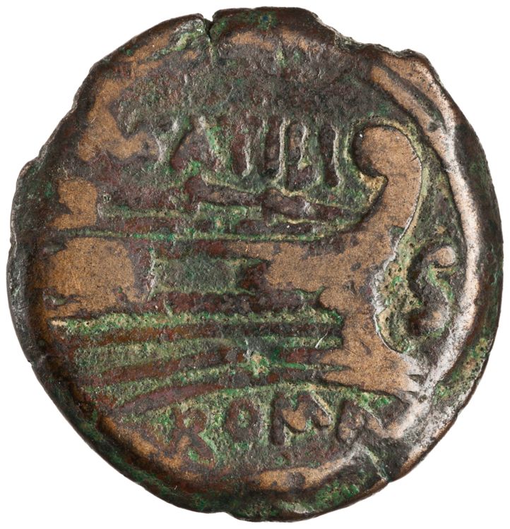 RRC 214/3a, реверс, American Numismatic Society (ans)