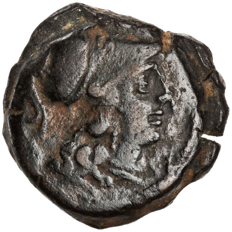 RRC 215/4, аверс, American Numismatic Society (ans)