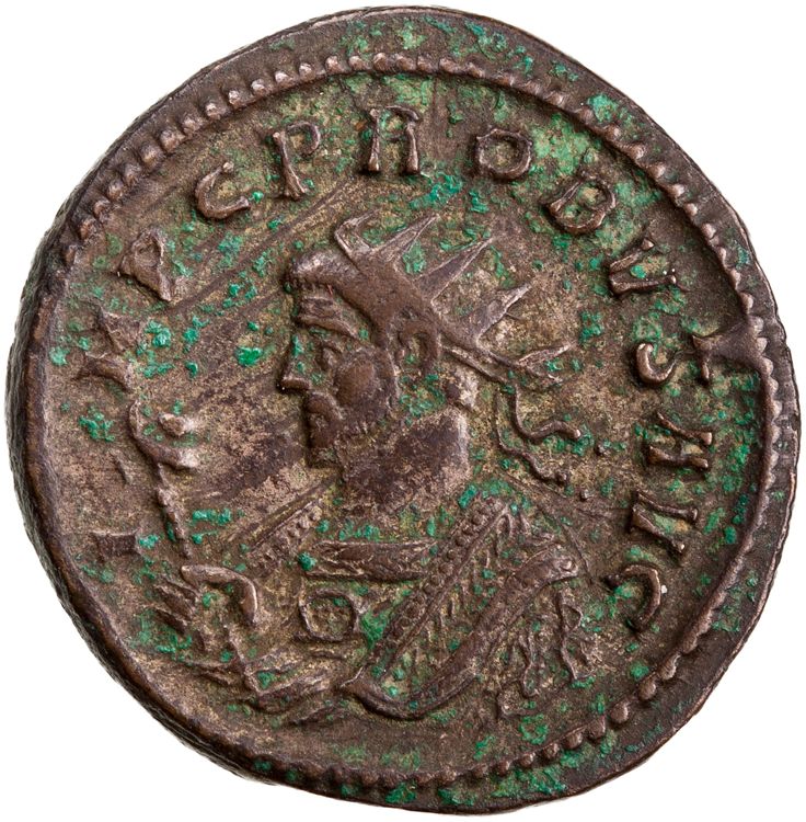 RIC V Probus 490, аверс, American Numismatic Society (ans)