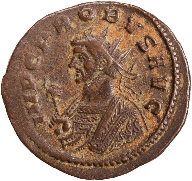 RIC V Probus 490, аверс, American Numismatic Society (ans)