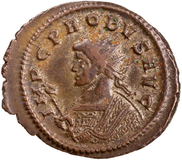 obverse RIC V Probus 499