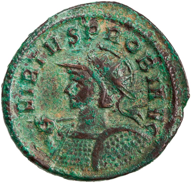 RIC V Probus 509, аверс, American Numismatic Society (ans)