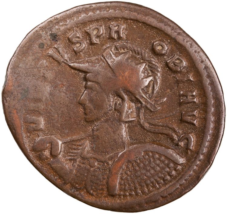 RIC V Probus 526, аверс, American Numismatic Society (ans)