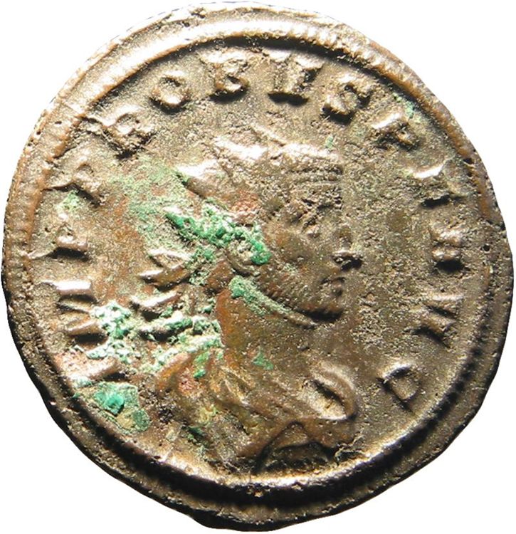 RIC V Probus 666, аверс, American Numismatic Society (ans)