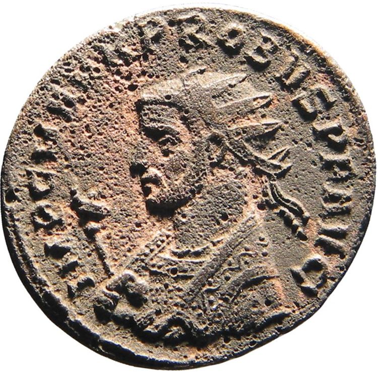 RIC V Probus 911, obverse, American Numismatic Society (ans)