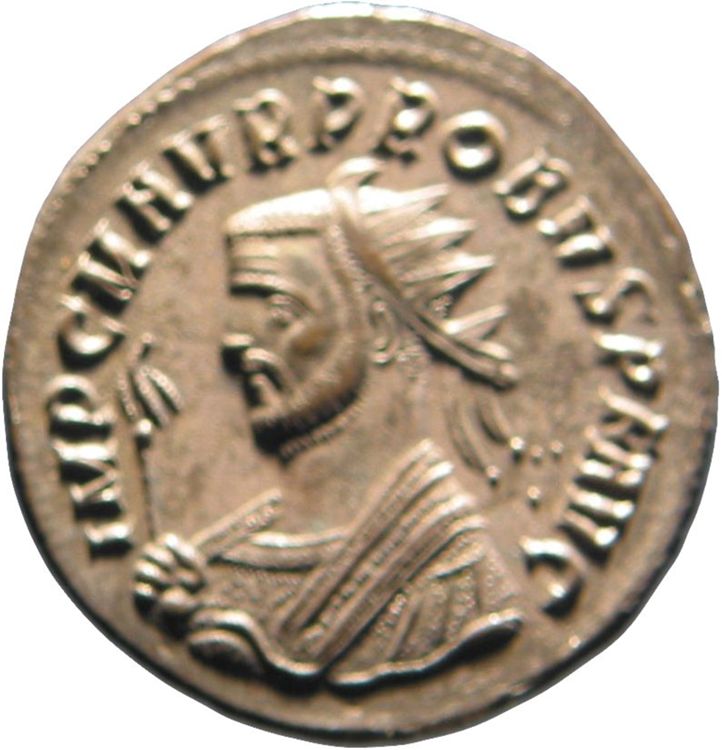 RIC V Probus 911, obverse, American Numismatic Society (ans)