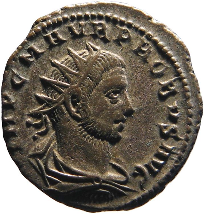 RIC V Probus 928, аверс, American Numismatic Society (ans)