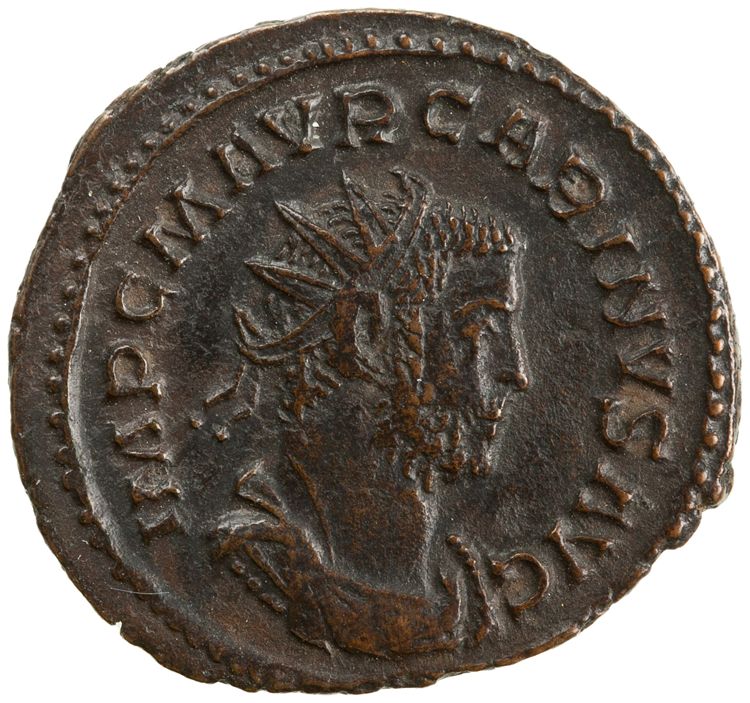 obverse RIC V Carus 214
