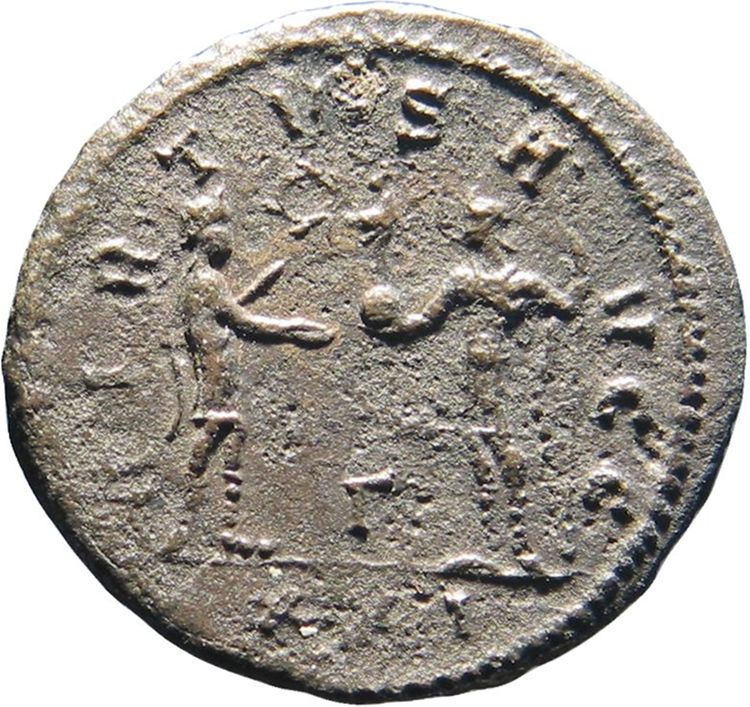 реверс RIC V Carus 377