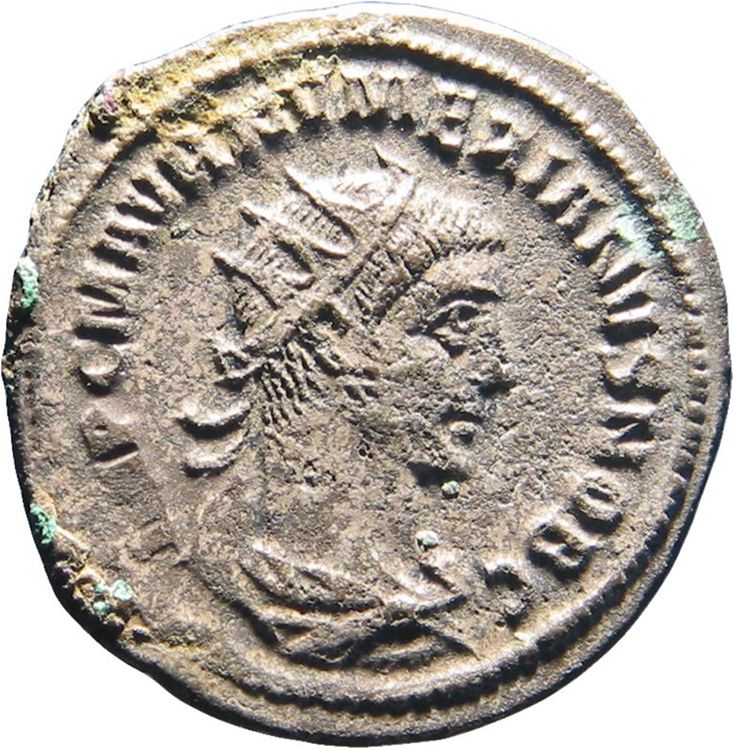RIC V Carus 377, аверс, American Numismatic Society (ans)