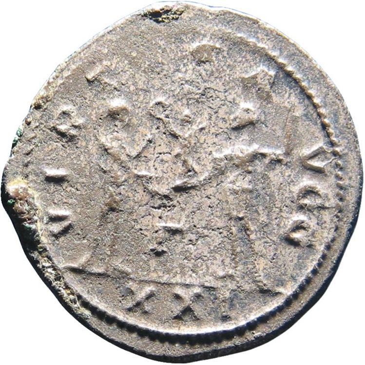 RIC V Carus 377, реверс, American Numismatic Society (ans)