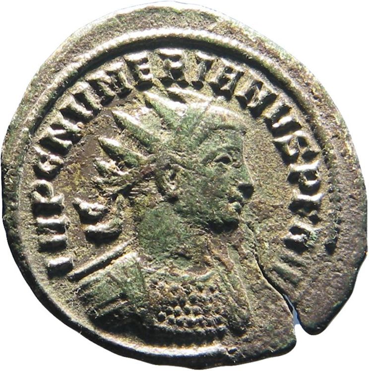 obverse RIC V Carus 460