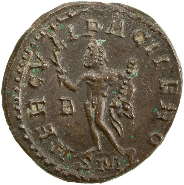 RIC V Diocletian 380, реверс, American Numismatic Society (ans)