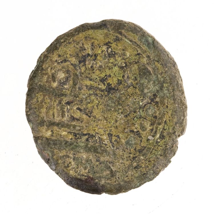 RRC 240/4b, реверс, American Numismatic Society (ans)