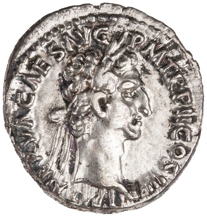 RIC II Nerva 33, obverse, American Numismatic Society (ans)