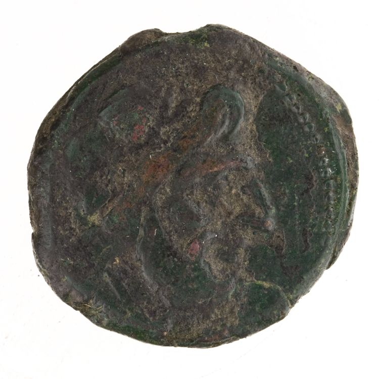 RRC 242/2, obverse, American Numismatic Society (ans)