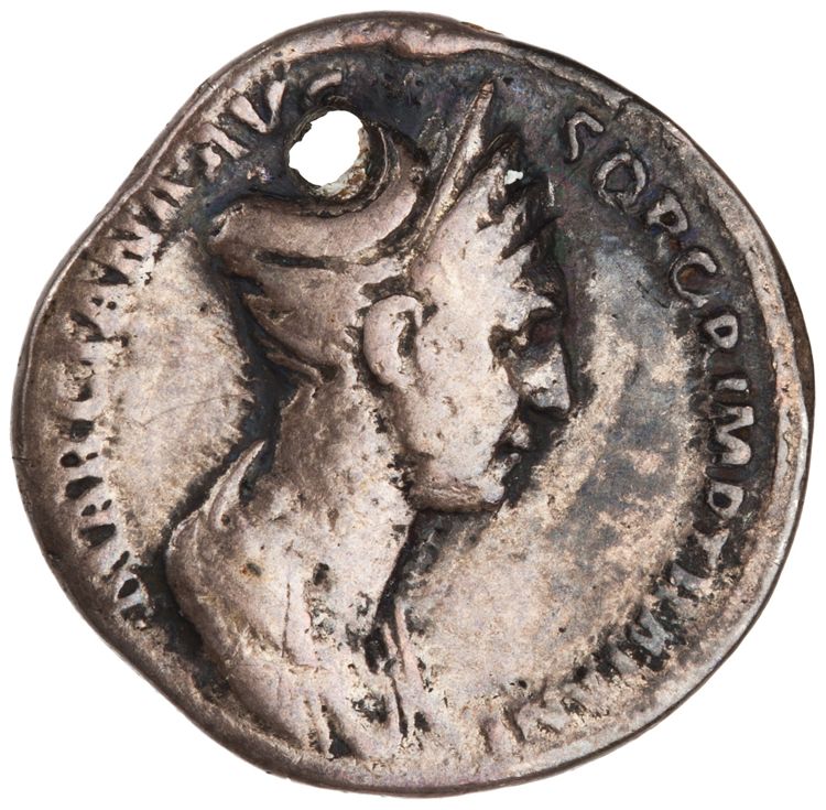 RIC II Trajan 742 (denarius), аверс, American Numismatic Society (ans)
