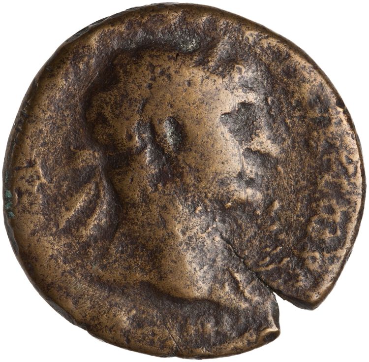 RIC II Trajan 572, obverse, American Numismatic Society (ans)