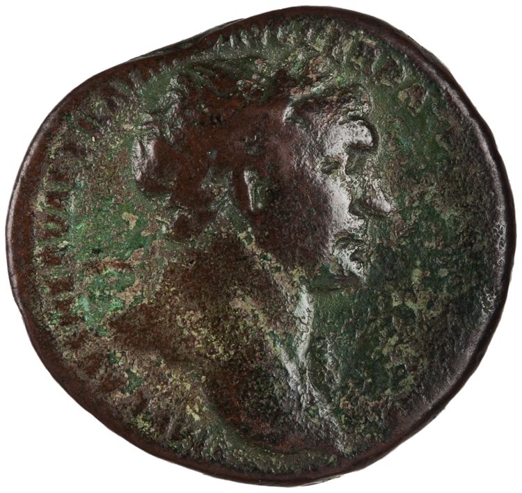 RIC II Trajan 524, obverse, American Numismatic Society (ans)