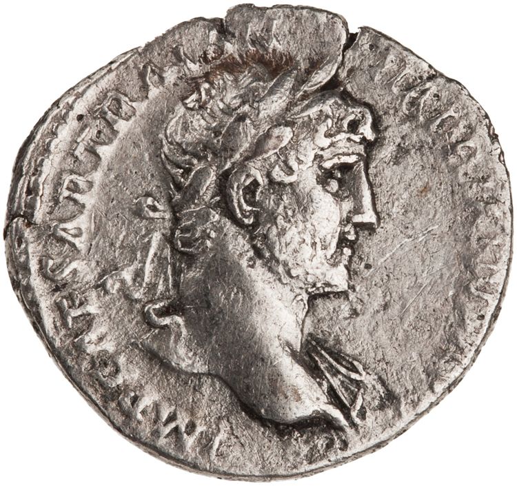 RIC II Hadrian 77b, аверс, American Numismatic Society (ans)