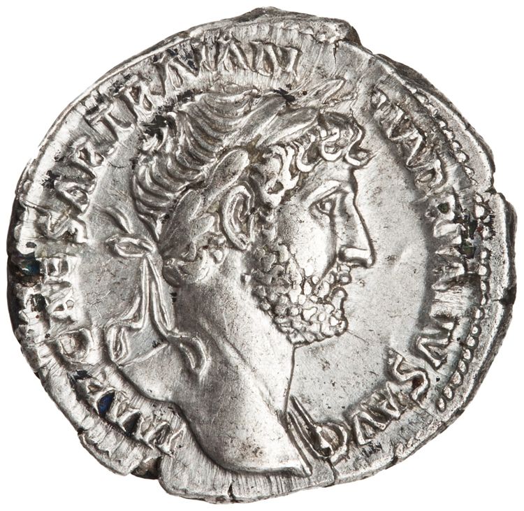 RIC II Hadrian 101b, аверс, American Numismatic Society (ans)