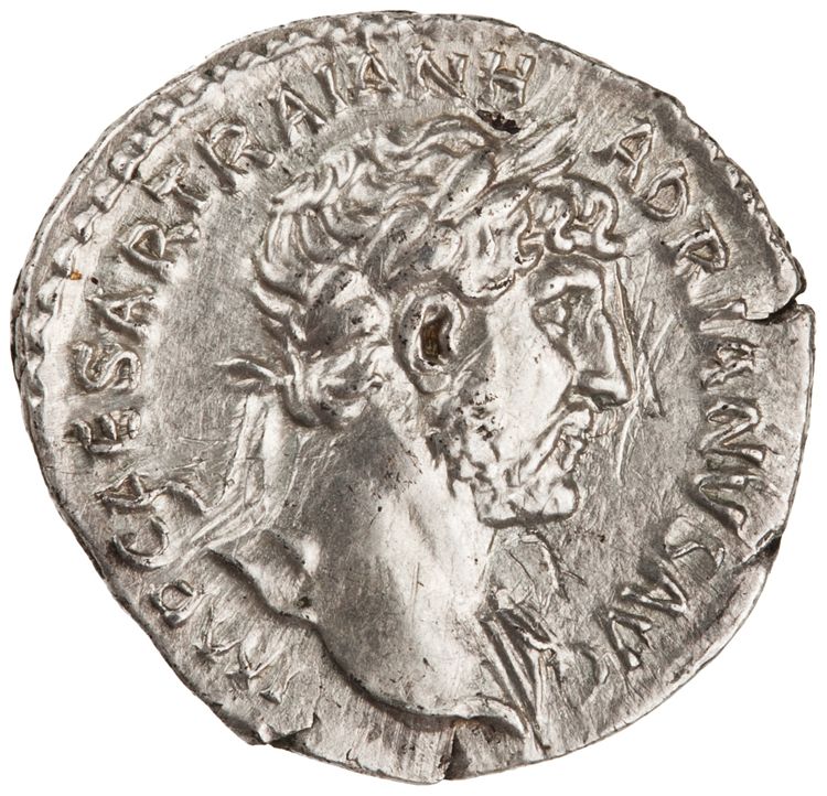 RIC II Hadrian 101b, аверс, American Numismatic Society (ans)