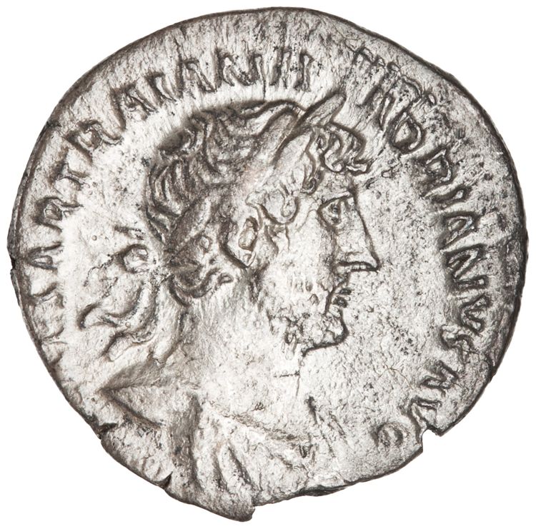 RIC II Hadrian 129b, аверс, American Numismatic Society (ans)