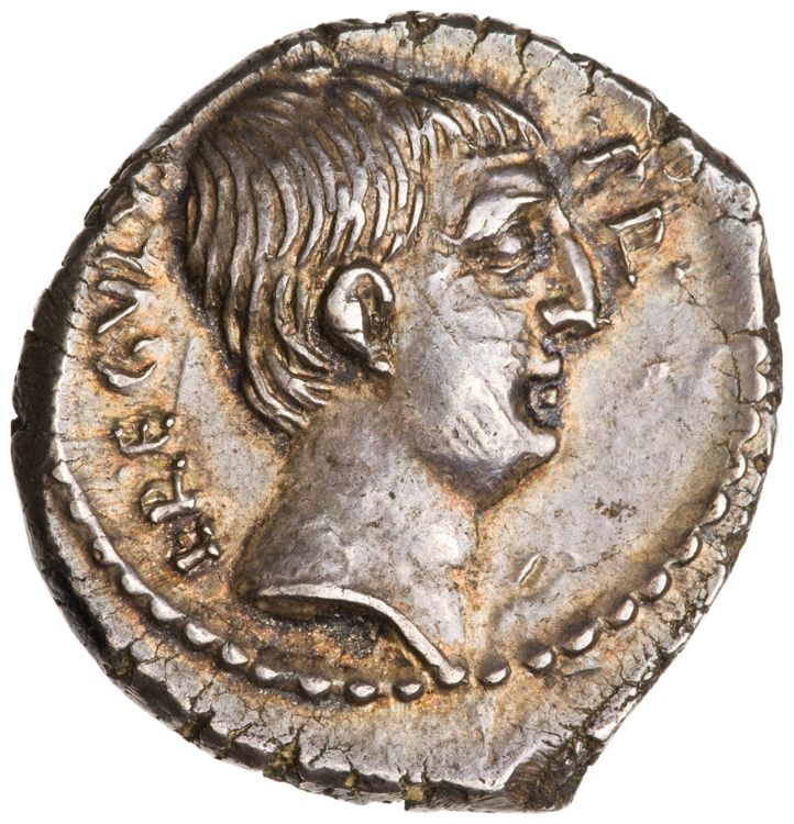 RRC 494/31, аверс, American Numismatic Society (ans)