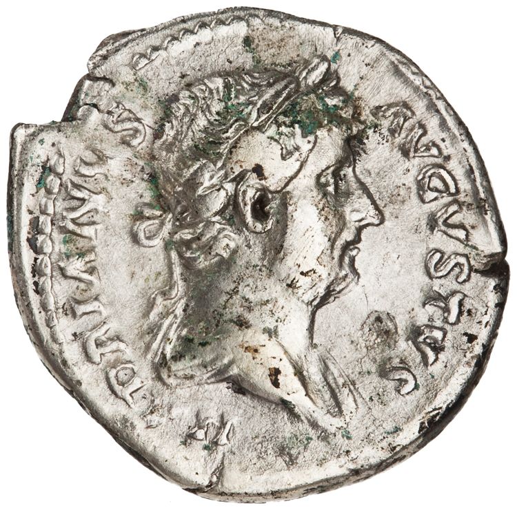 RIC II Hadrian 215f, аверс, American Numismatic Society (ans)