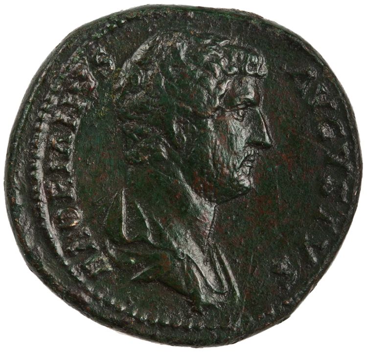 RIC II Hadrian 727c (as), аверс, American Numismatic Society (ans)