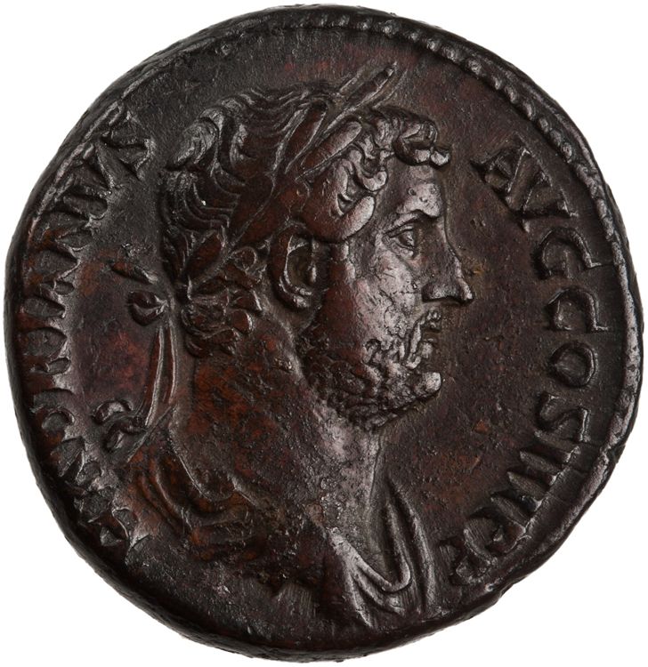 RIC II Hadrian 848f (as), аверс, American Numismatic Society (ans)