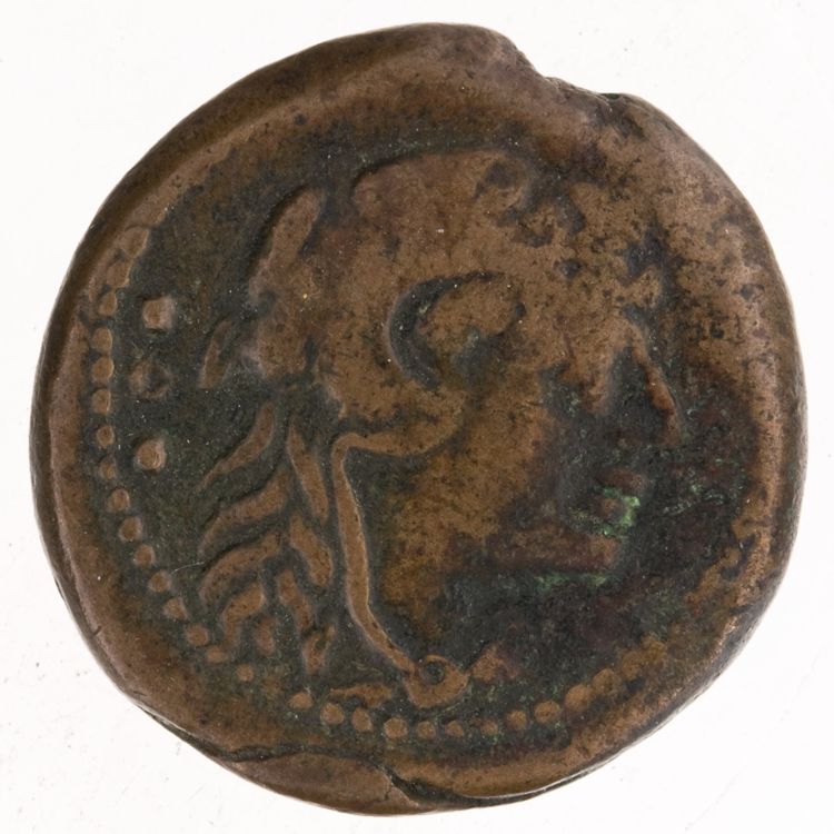 RRC 247/3, аверс, American Numismatic Society (ans)