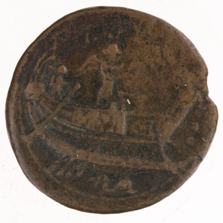 RRC 247/3, реверс, American Numismatic Society (ans)