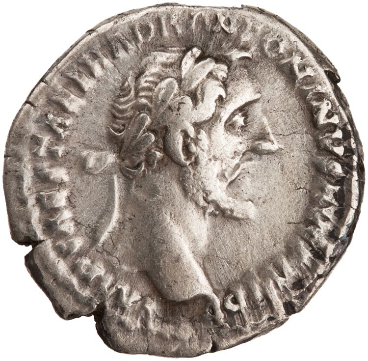 RIC III Antoninus Pius 202b, аверс, American Numismatic Society (ans)