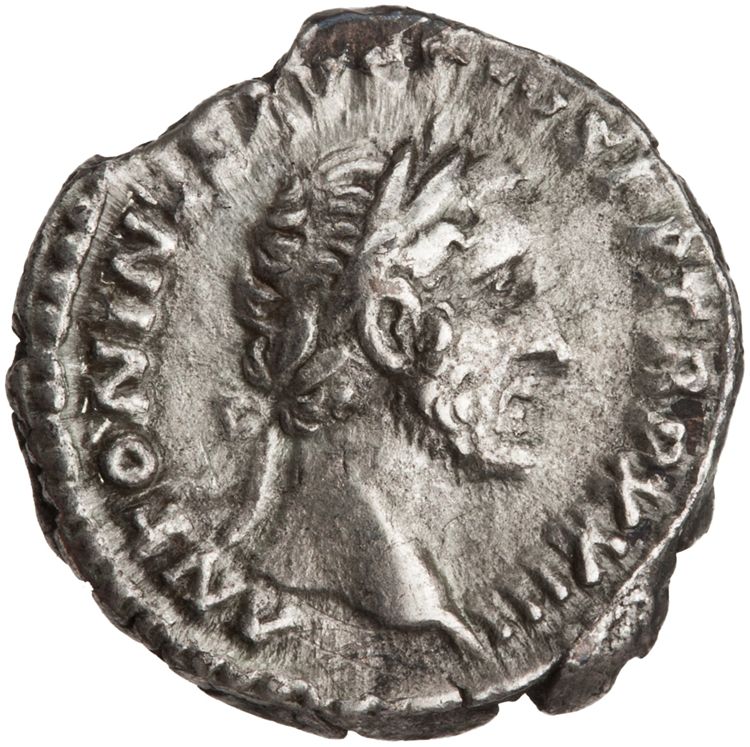 RIC III Antoninus Pius 305, аверс, American Numismatic Society (ans)