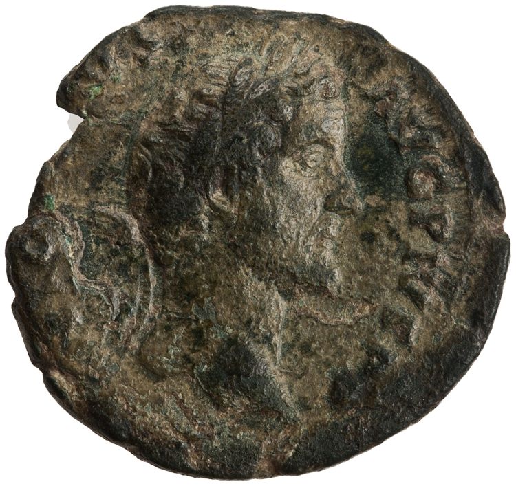 RIC III Antoninus Pius 569A, obverse, American Numismatic Society (ans)