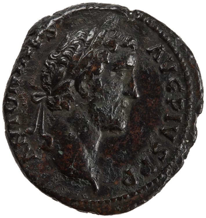 RIC III Antoninus Pius 1208B, аверс, American Numismatic Society (ans)