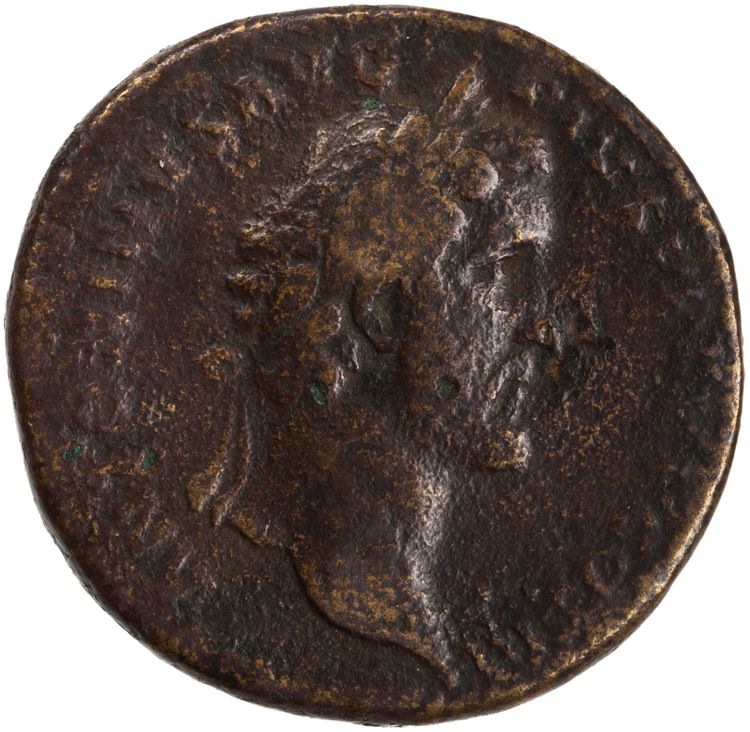 RIC III Antoninus Pius 598a, obverse, American Numismatic Society (ans)