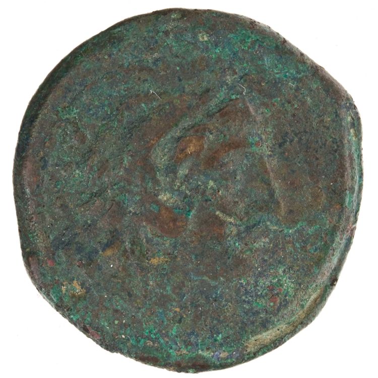 RRC 249/3, аверс, American Numismatic Society (ans)