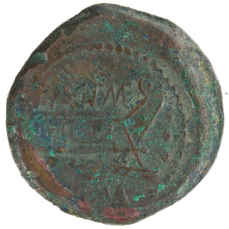 RRC 249/3, реверс, American Numismatic Society (ans)