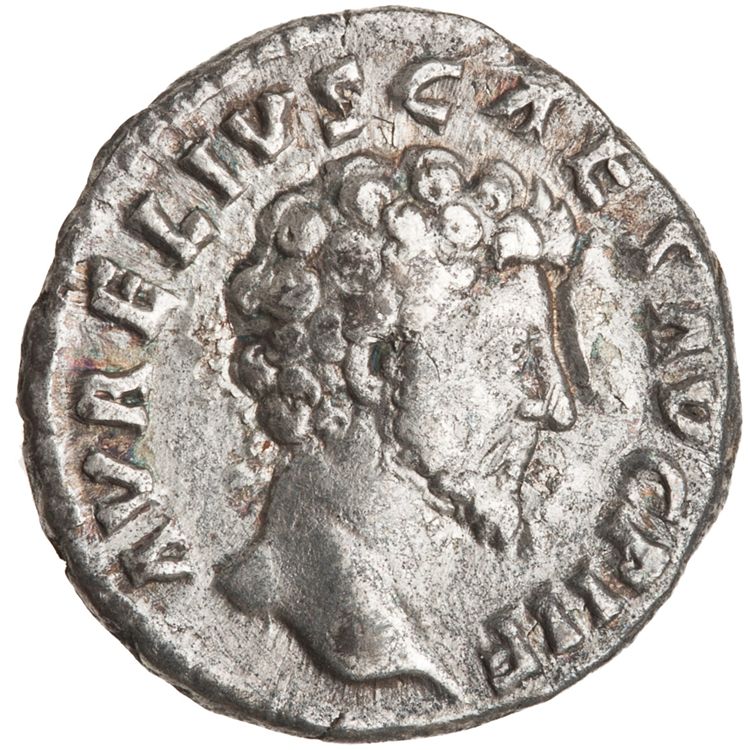 RIC III Antoninus Pius 483, obverse, American Numismatic Society (ans)
