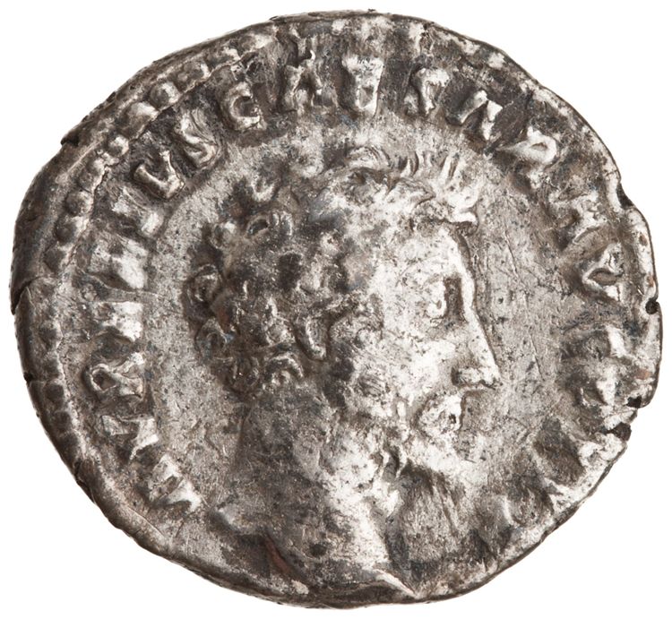 RIC III Antoninus Pius 486, аверс, American Numismatic Society (ans)