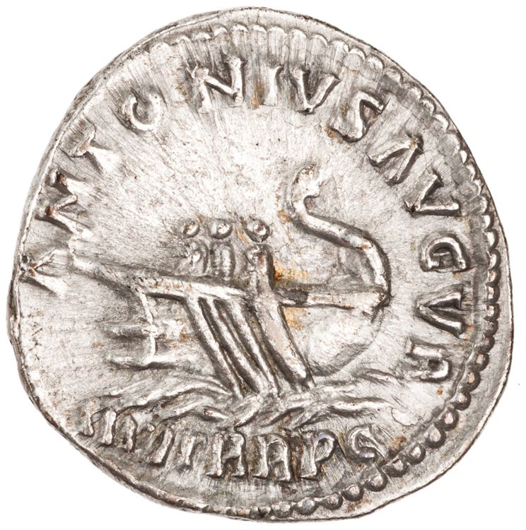 RIC III Marcus Aurelius 443, аверс, American Numismatic Society (ans)