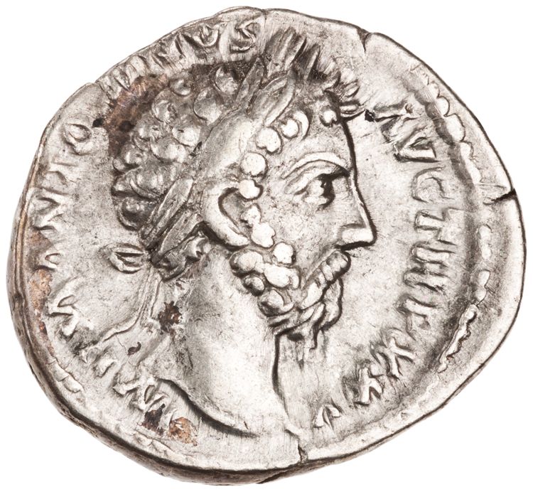 RIC III Marcus Aurelius 251, аверс, American Numismatic Society (ans)