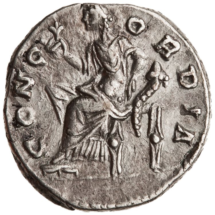 RIC III Antoninus Pius 502Aa, реверс, American Numismatic Society (ans)