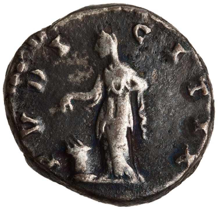 RIC III Antoninus Pius 508A, реверс, American Numismatic Society (ans)