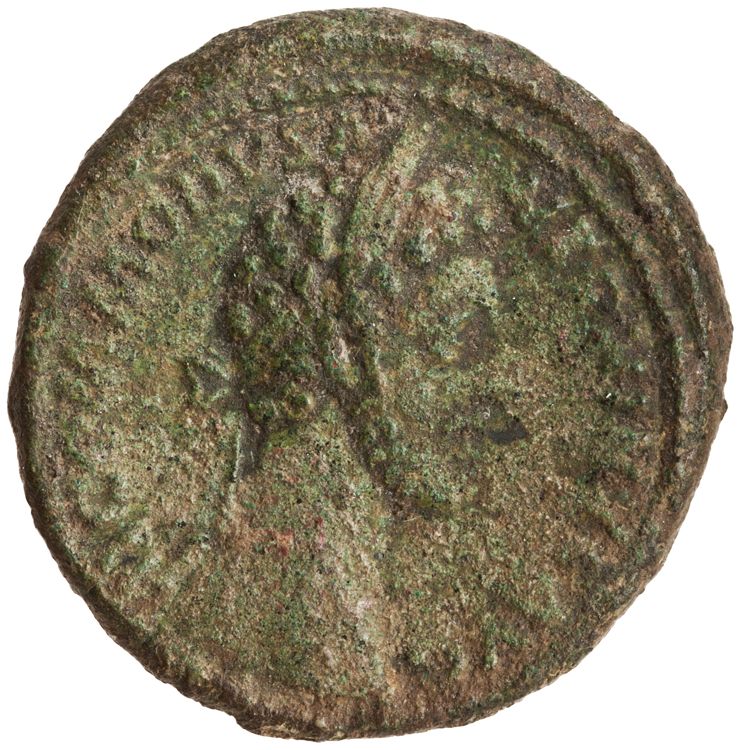 RIC III Commodus 319a, аверс, American Numismatic Society (ans)