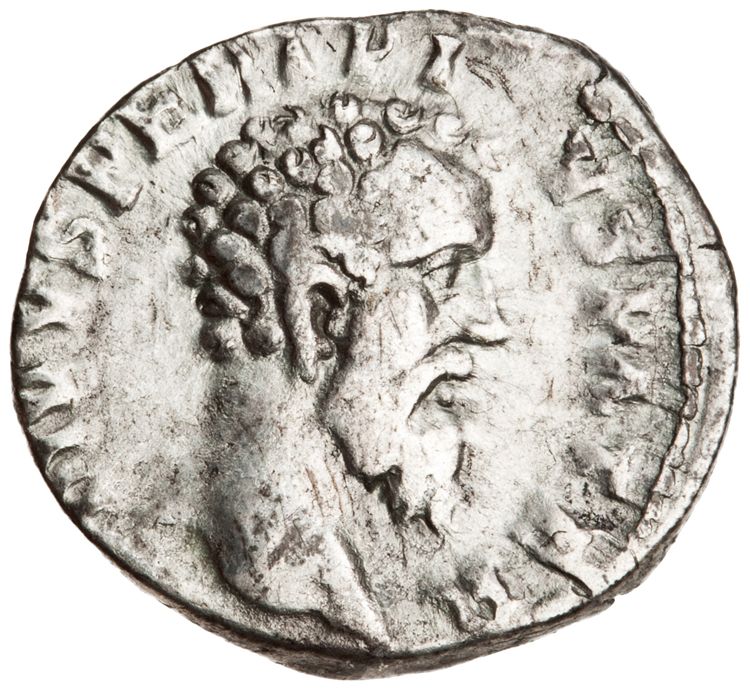 RIC IV Septimius Severus 24A (denarius), аверс, American Numismatic Society (ans)